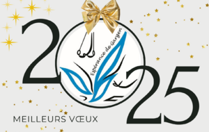 Bonne année 2025